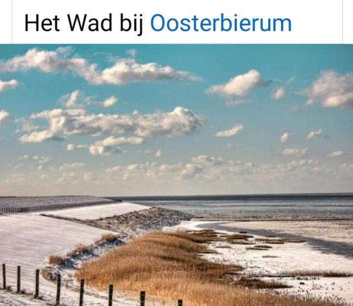 4-Persoons Vakantiehuisje Simmerwille Tzummarum Ngoại thất bức ảnh
